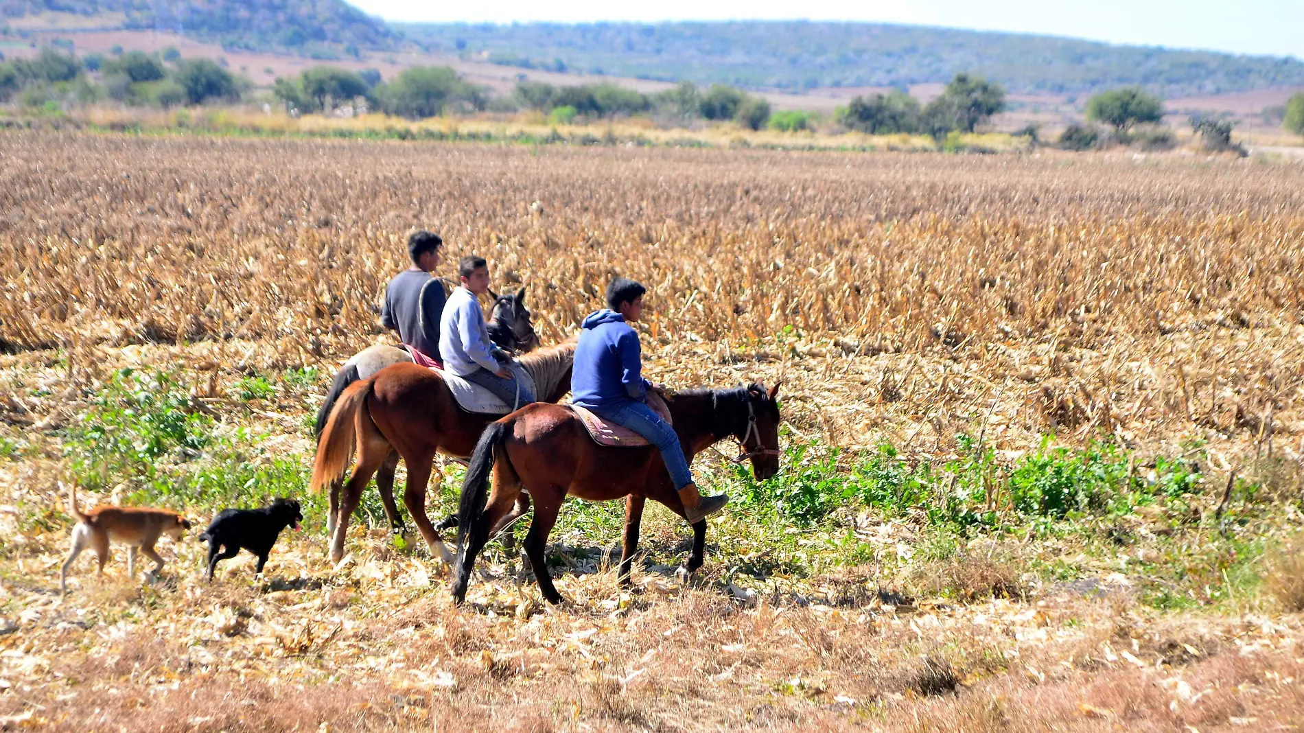 JEVENES EN EL CAMPO l JESUS GTZ - EL SOL DE IRAPUATO (3)